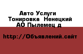 Авто Услуги - Тонировка. Ненецкий АО,Пылемец д.